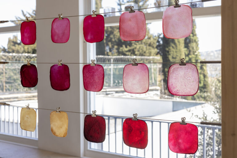 2024_GATE_27_DAMLA_YALCIN_12